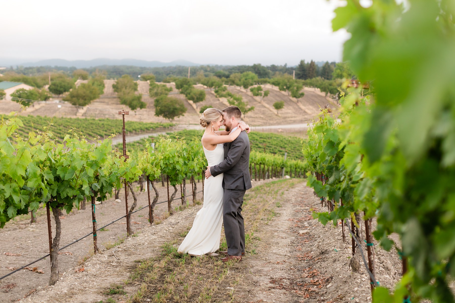 Bride and groom embrace and laugh in the vineyards at their foggy hilltop winery wedding in paso robles, california