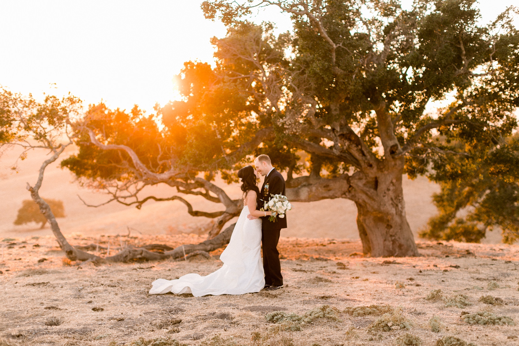 Spreafico farms wedding portraits at sunset overlooking hills of SLO