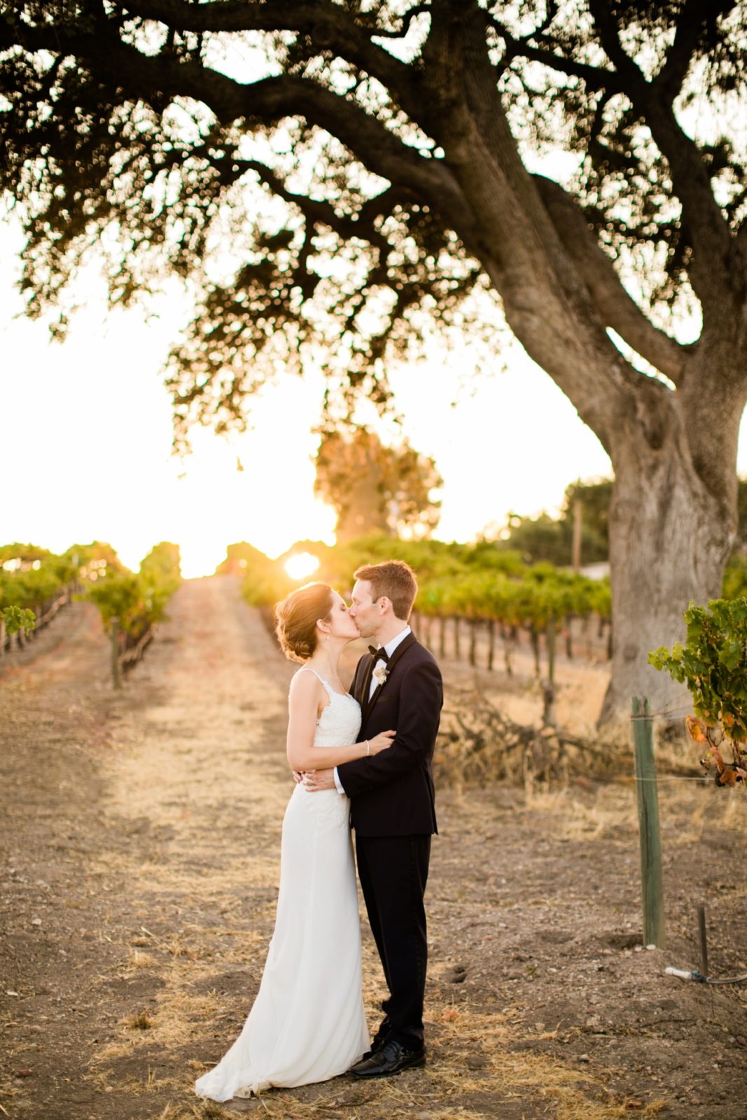 Terra Mia Paso Robles Wedding Tayler Enerle Photography