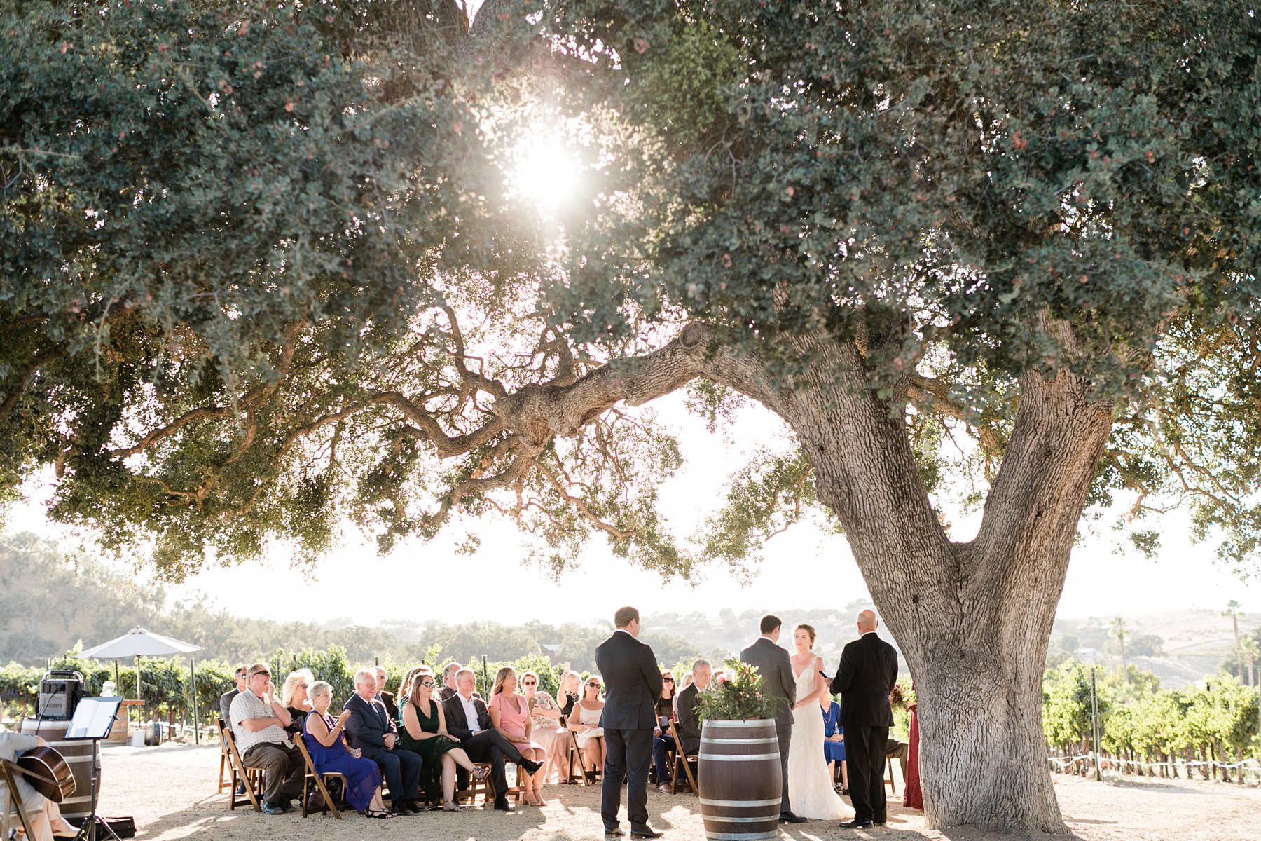 intimate Cass Winery wedding ceremony