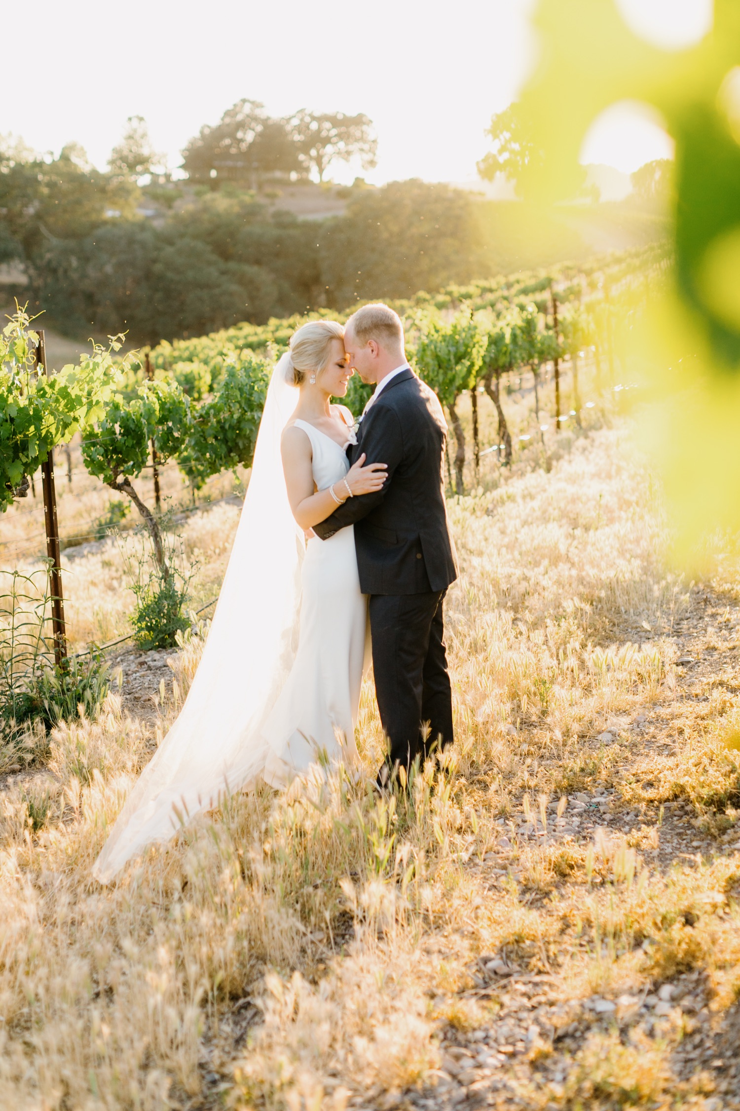Couple embracing during sunset photos with tayler enerle at Terra Mia wedding