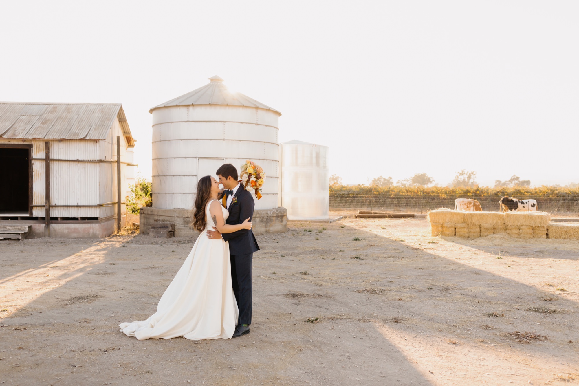 couple embrassing in front of vintage siloh at 1800 el pomar wedding during sunset portraits with Templeton wedding photographer, Tayler Enerle Photograpy