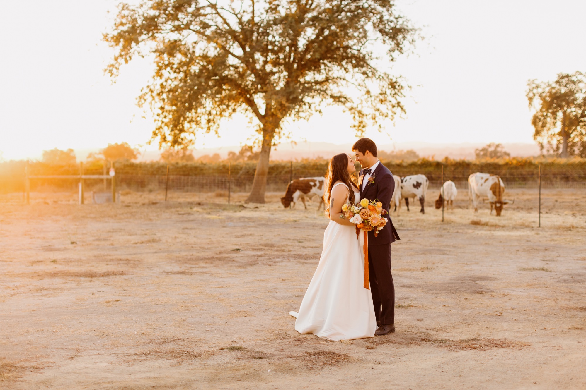 wide photo of couple embracing and looking at eachother sweetly at sunset portraits with paso robles photographer, tayler Enerle