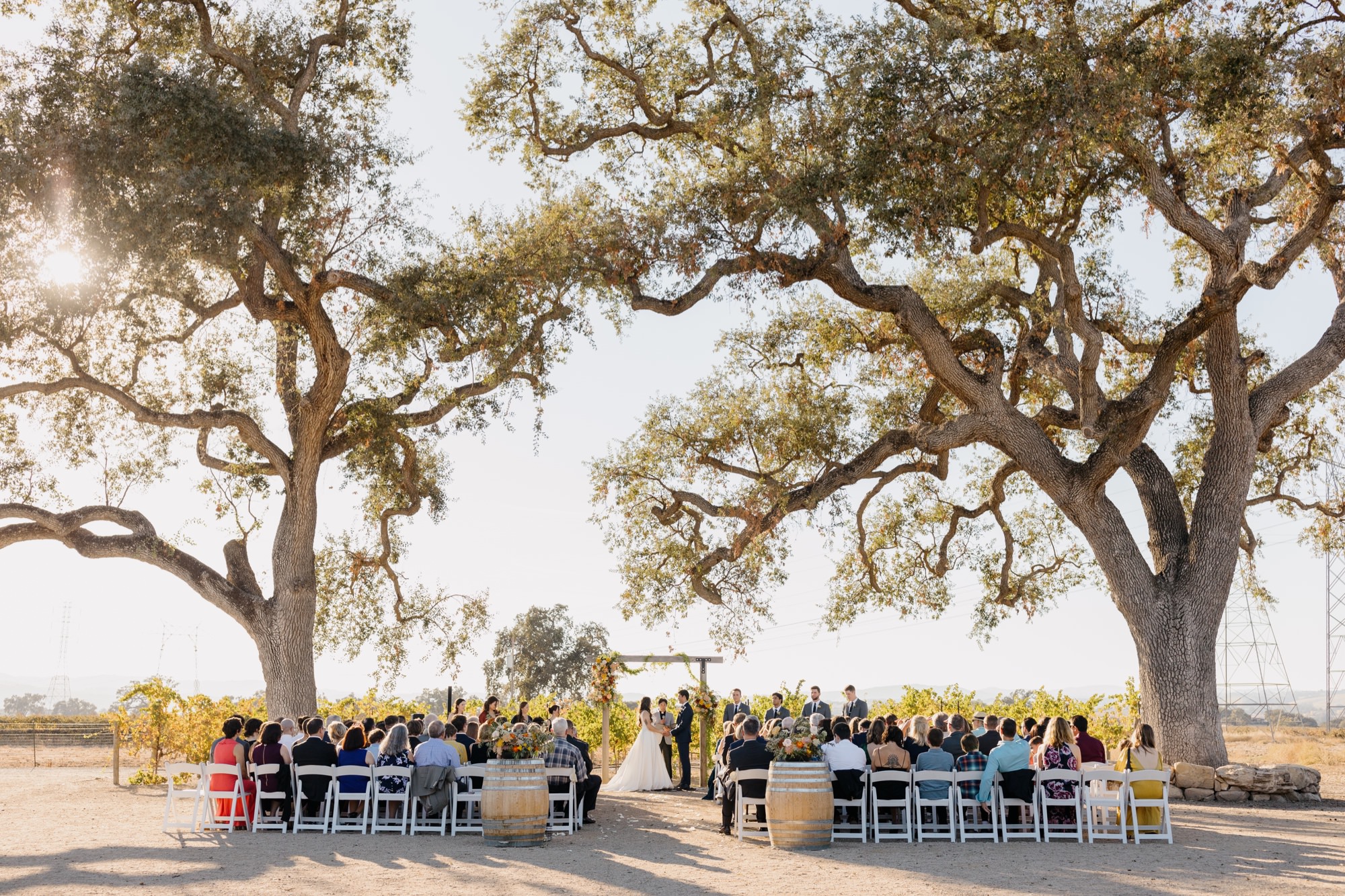 wide view photo of the ceremony site at 1800 El pomar wedding under two oak trees in templeton,, california by san luis obispo photographer, tayler enerle