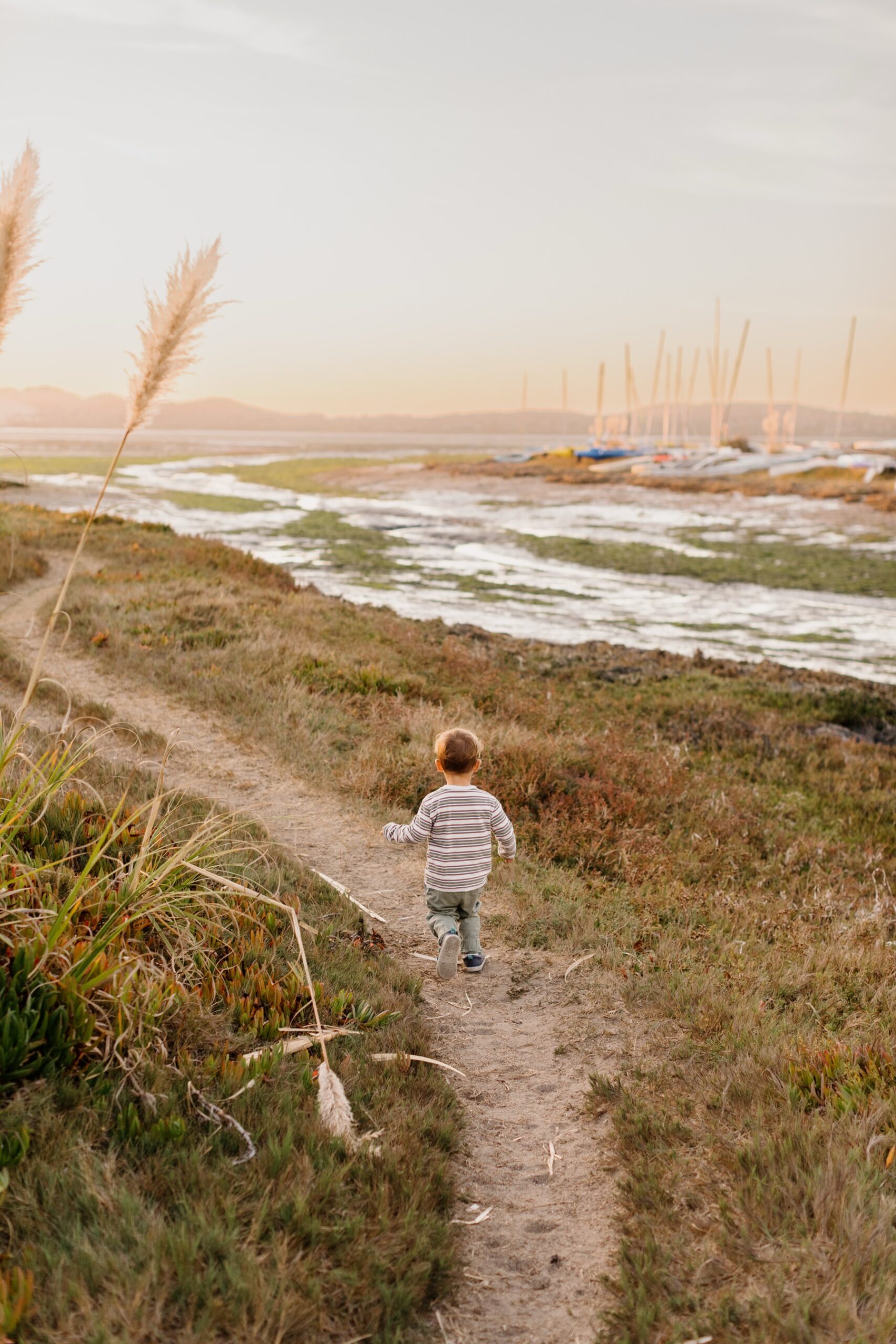 An image of small boy running away on a path through iceplant next to the cuesta Inlet bay with pampas grass growing and low tide at sunset in Los Osos California at a maternity session by Tayler Enerle photography los osos