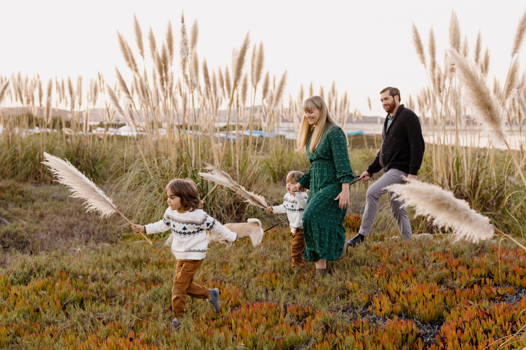 Image of a happy family with two young children walking through iceplant with pampas grass in the children's hands and in the background with the bay in the background at Cuesta Inlet in Los Osos california during a family session with Tayler enerle