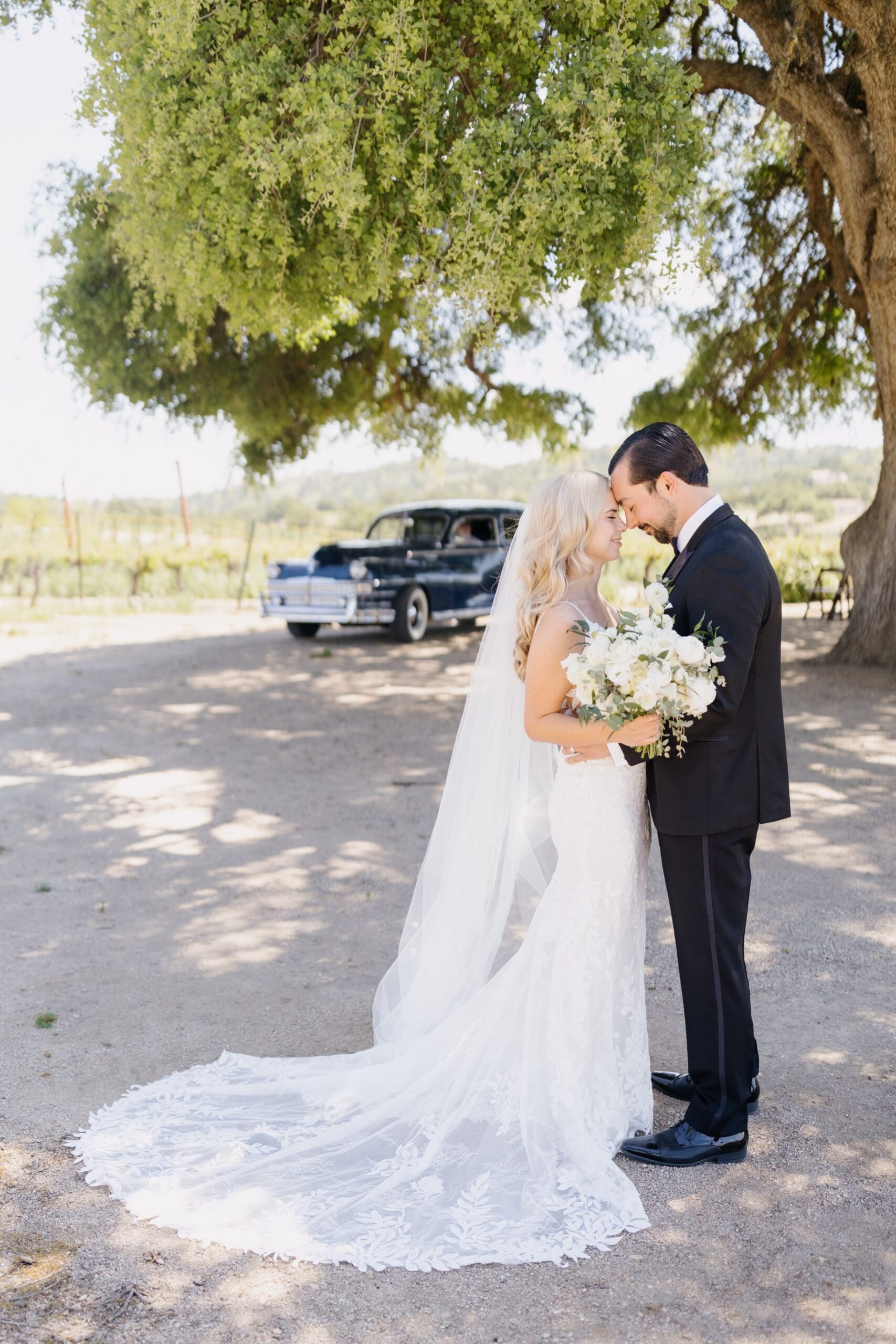 vertical image of Bride and groom embracing with foreheads touching standing in front of an oak tree and a vintage car on their wedding day at Cass Winery in Paso RObles california photographed by Tayler Enerle 