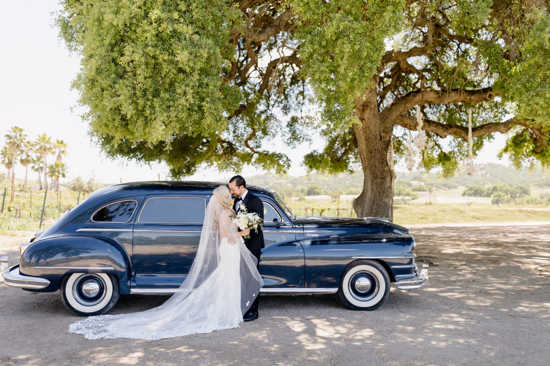 hotizontal image of Bride and groom embracing with foreheads touching standing in front of an oak tree and a vintage car on their wedding day at Cass Winery in Paso RObles california photographed by Tayler Enerle 