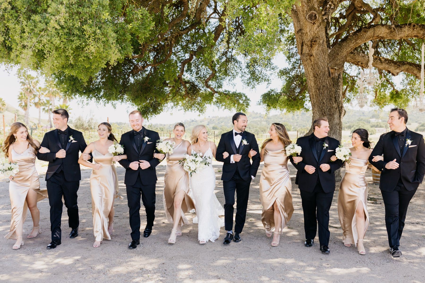 wedding party all linked arms and walking towards the camera and smiling and laughing at eachother under a large oak tree at Cass Winery in Paso Robles California