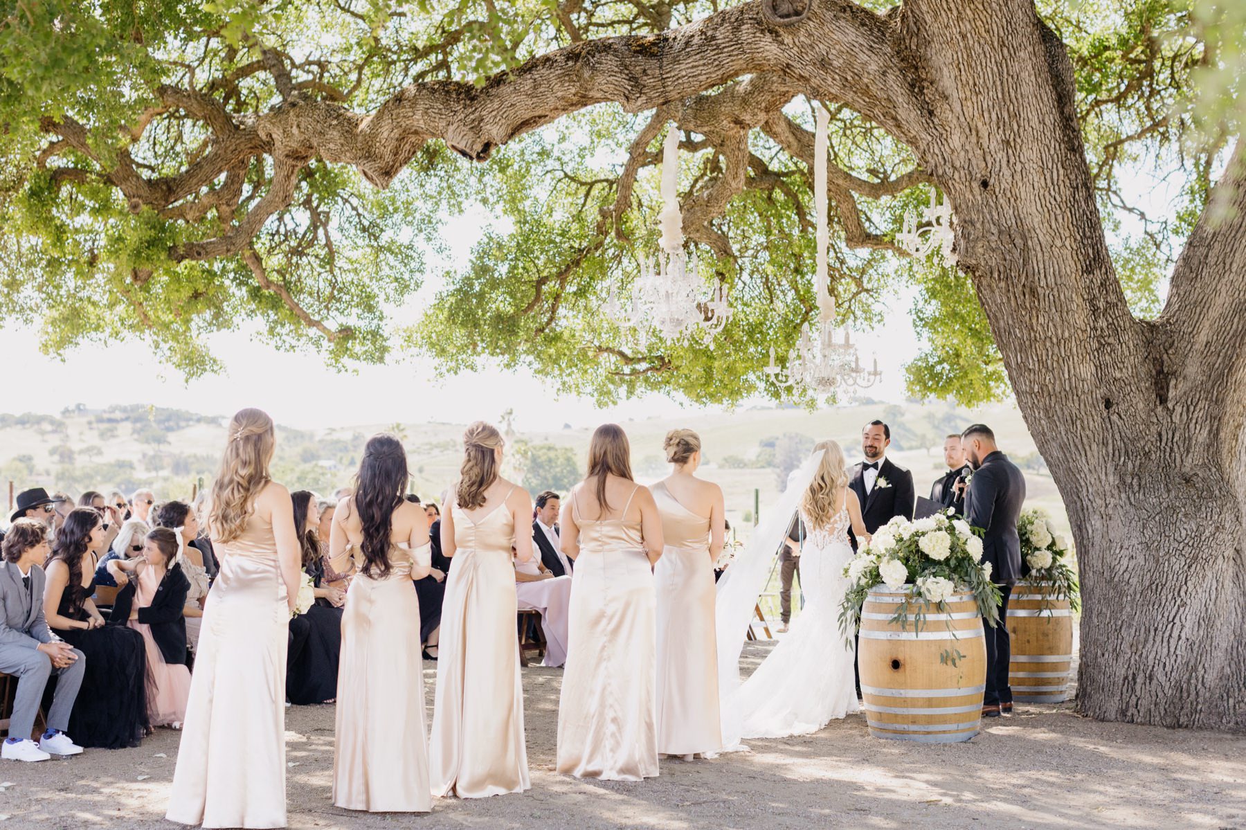 wide image of a cass winery ceremony under an oak tree in Paso RObles california