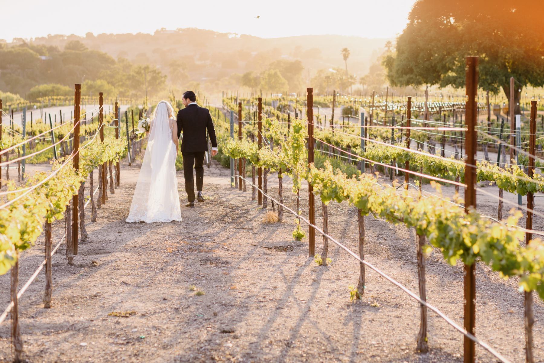 Bride and groom holding hands and walking away from the camera at Cass Winery vineyard sunset portraits by Tayler Enerle Photography 