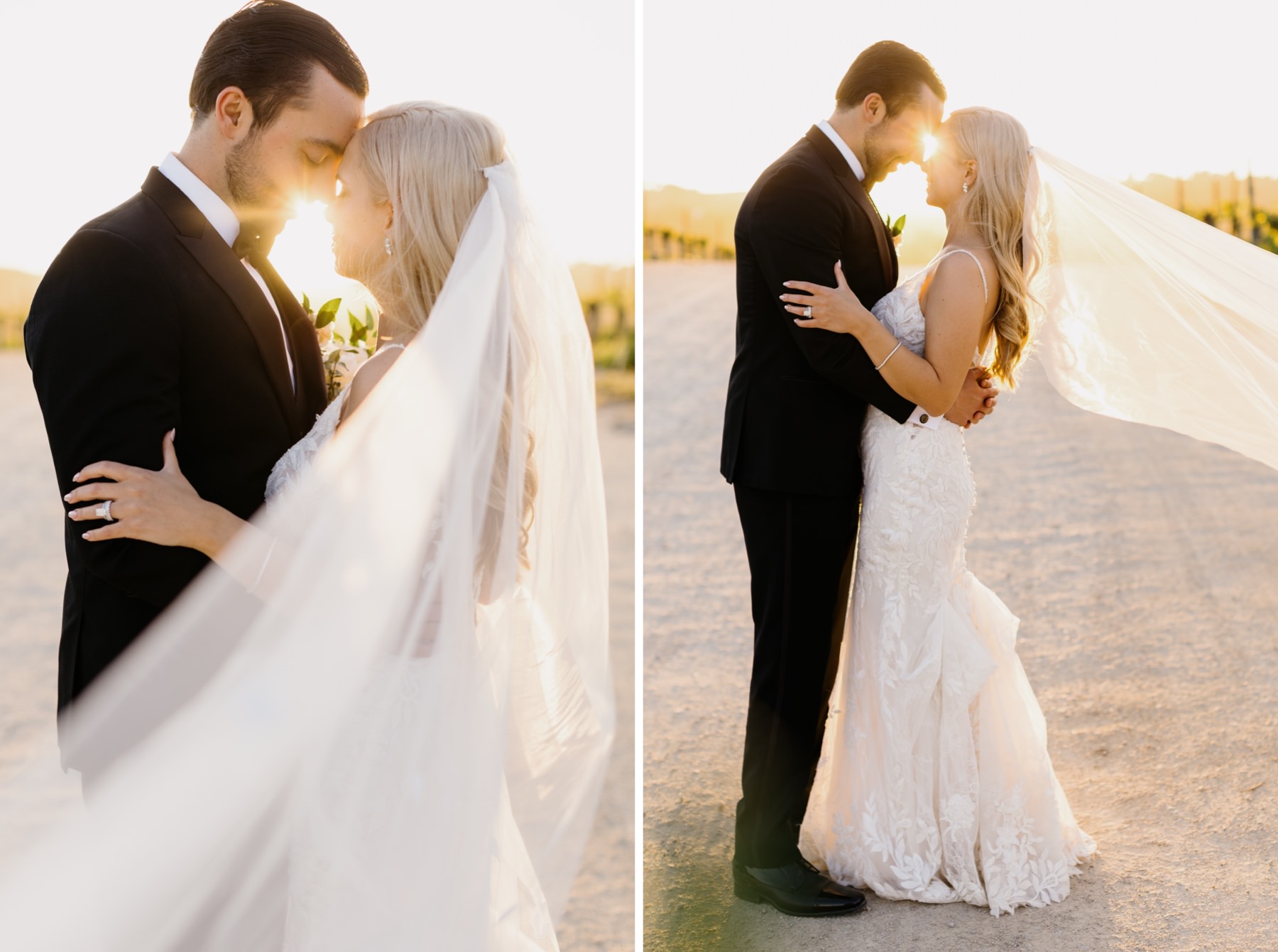 Bride and groom holding hands and looking at eachother lovingly at their sunset portrait session at Cass Winery in Paso Robles California by Tayler Enerle Photography 